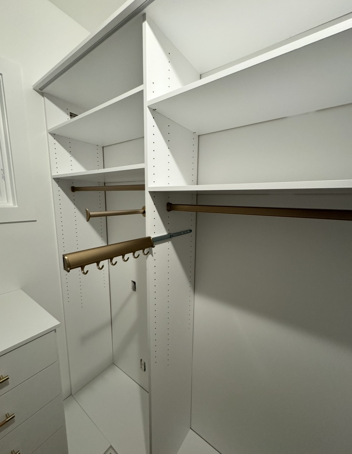 Closet with brushed brass hanging rods and pull-out valet hook rack